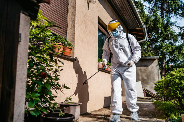 Best Wildlife Control Services  in South Woodstock, CT