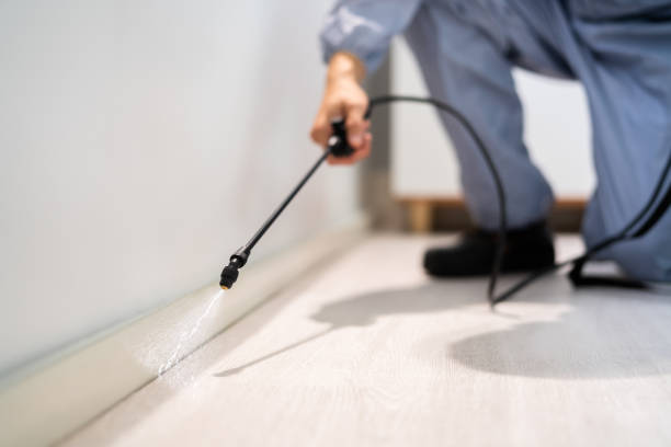 Best Mosquito Control Services  in South Woodstock, CT