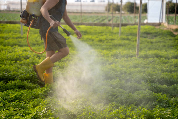 Best Affordable Pest Control Services  in South Woodstock, CT