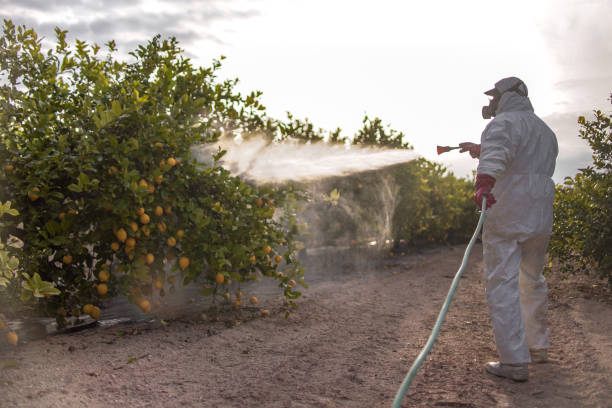 Best Emergency Pest Control  in South Woodstock, CT