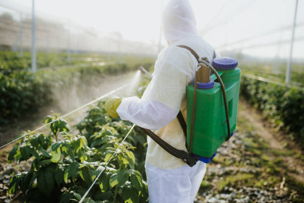 Best Best Pest Control Companies  in South Woodstock, CT